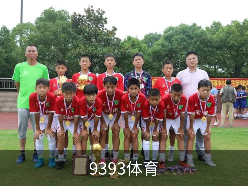 9393体育介绍